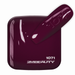 GEL LAK – 1071 : PURPLE GRAPE
 
Naši barvni gel laki so zasnovani z mi...