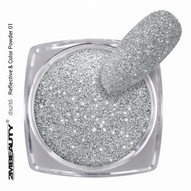 PIGMENTOR REFLECTIVE COLOR POWDER 01